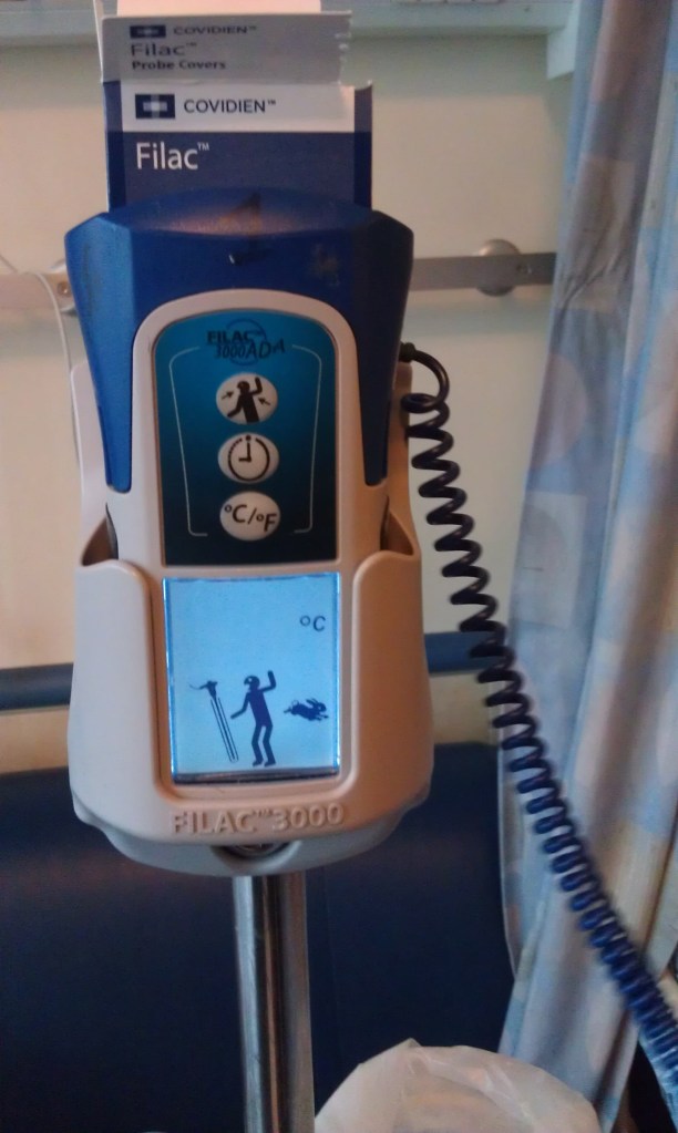 פרס למי שמבין למה יש פה ציור של ארנב.