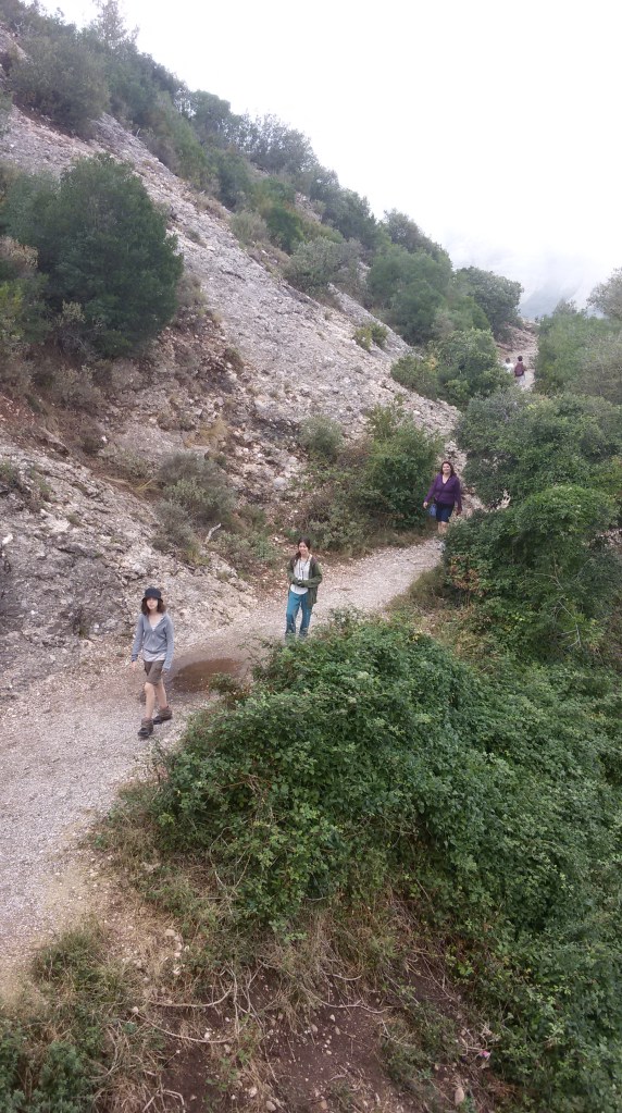 0220-08-01-Montserrat