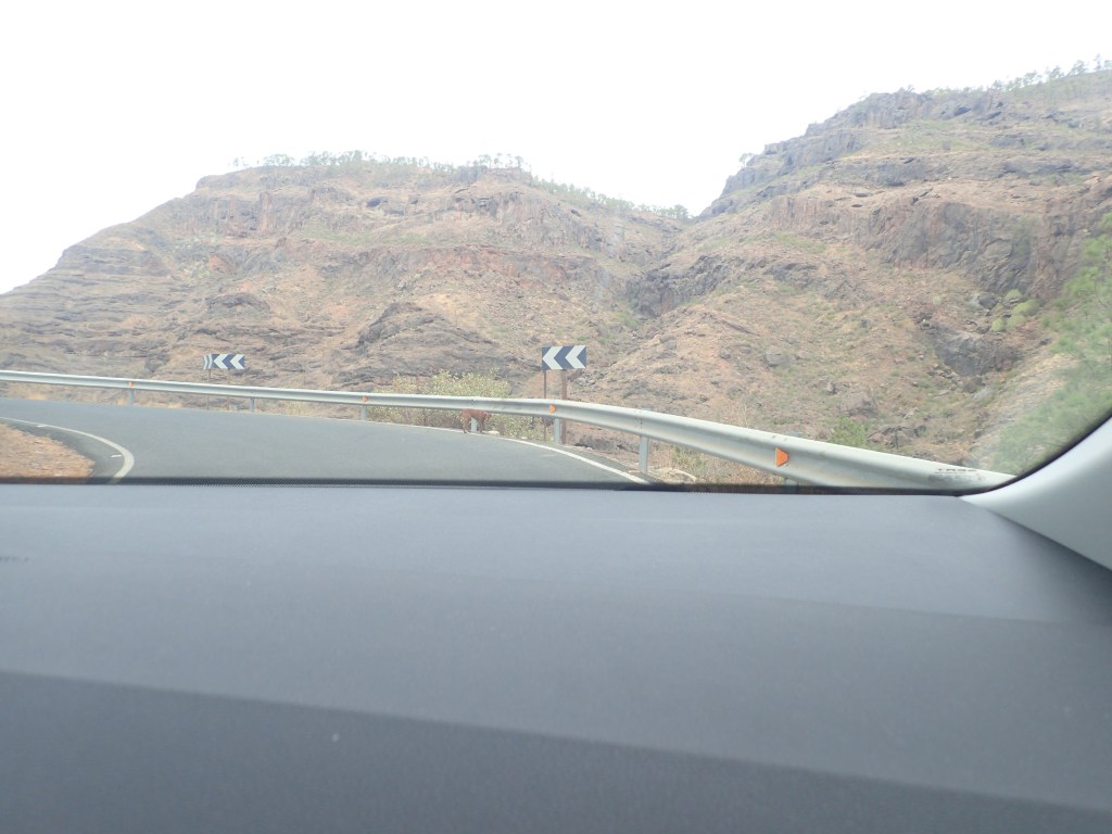 כביש טיפוסי בהרים