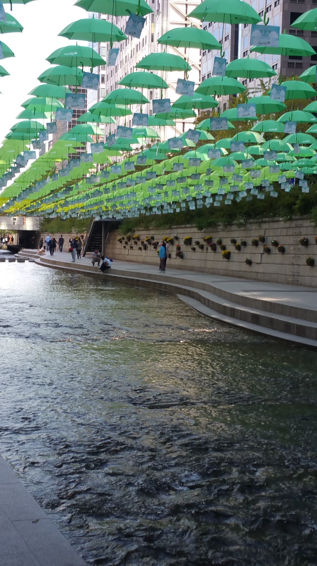 0270-09-10-umbrellas-cheonggyecheon